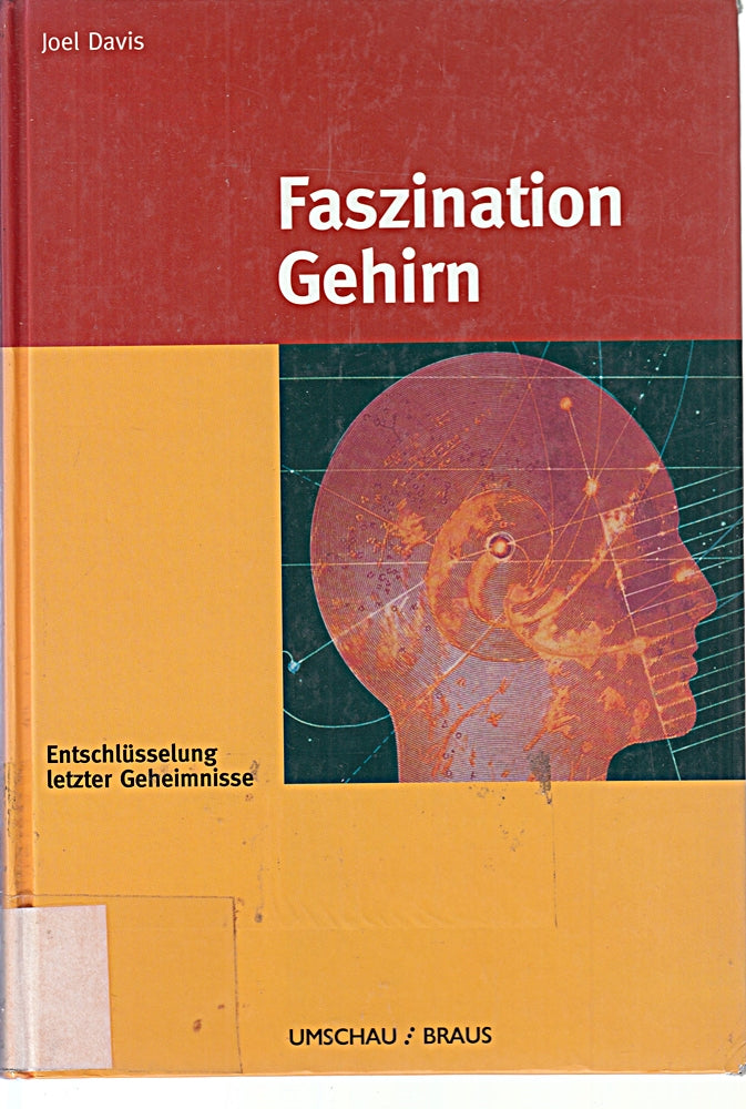 Faszination Gehirn