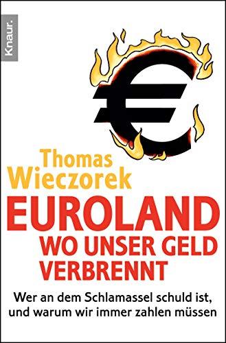 Euroland: Wo unser Geld verbrennt: Wer an dem Schlamassel schuld ist  und warum 