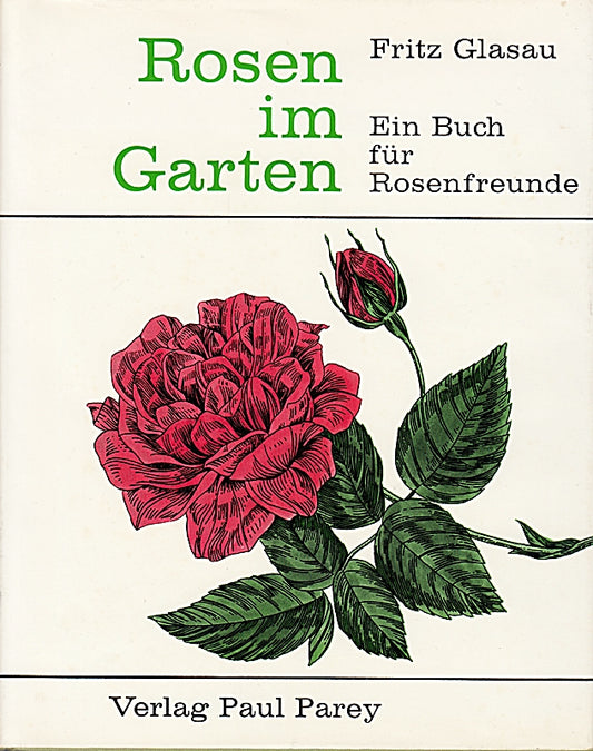 Rosen im Garten