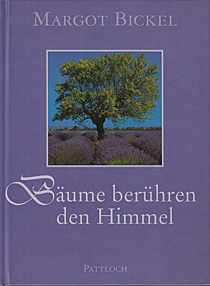 Bäume berühren den Himmel