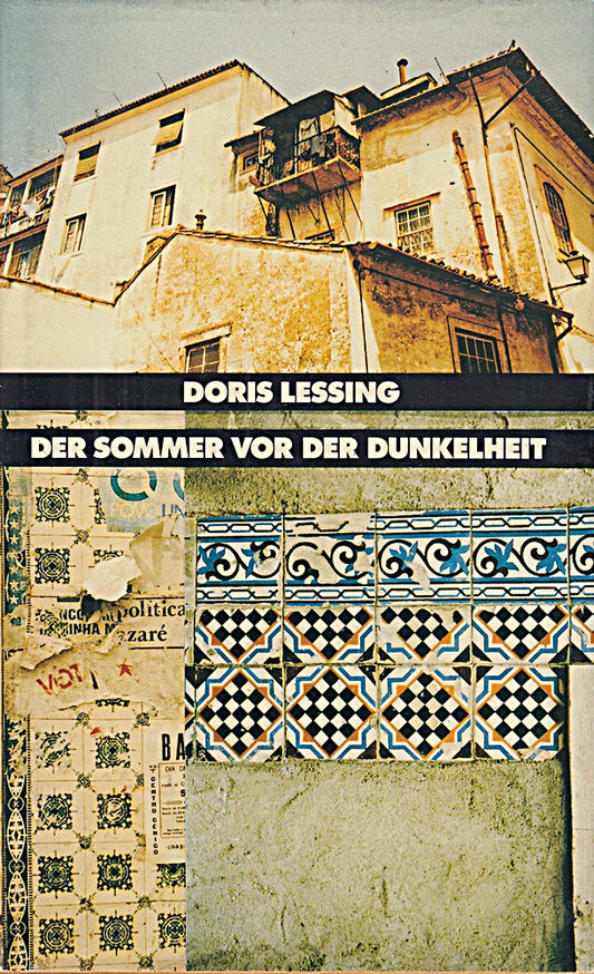 Der Sommer vor der Dunkelheit : Roman. = The summer before the dark  3763231714