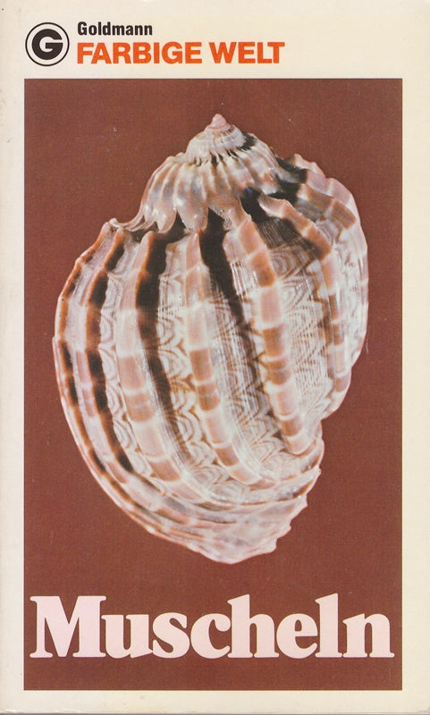 Farbige Welt  Muscheln.