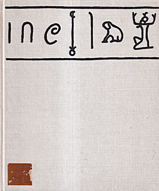 Erwachendes Denken. Eine Entwicklungsgeschichte der menschlichen Intelligenz