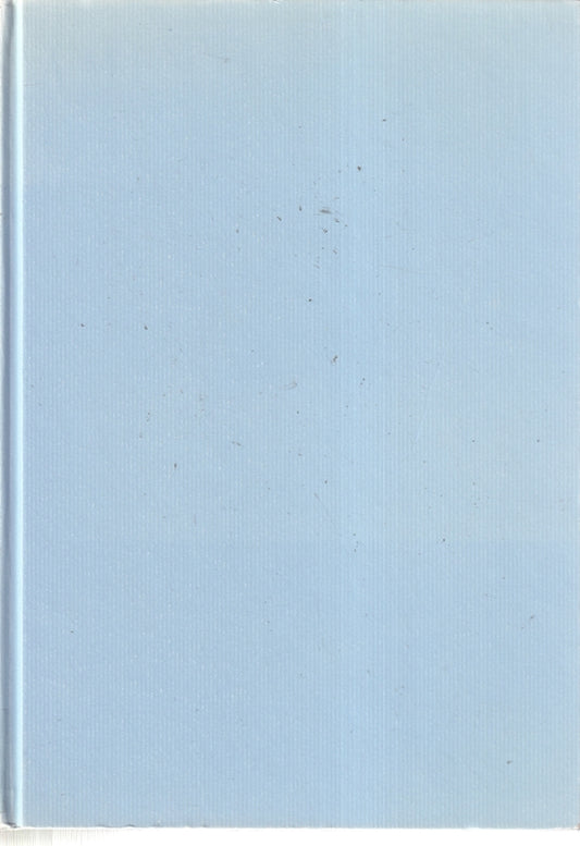 Amerikanische Literaturgeschichte