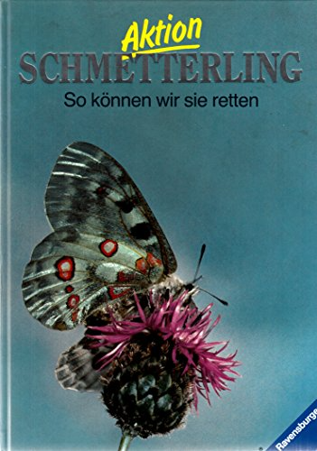 Aktion Schmetterling: So können wir sie retten