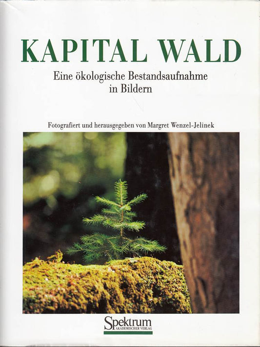 KAPITAL WALD