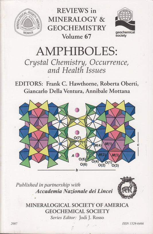 Amphiboles: Crystal Chemistry  Occurrence  and Health Issues (Reviews in Mineralogy & Geochemistry  67  Band 67)