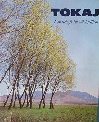 Tokaj. Landschaft im Wechsellicht.