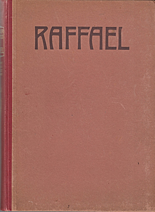 Klassiker der Kunst in Gesamtausgaben  Erster Band: Raffael. Des Meisters Gemälde 