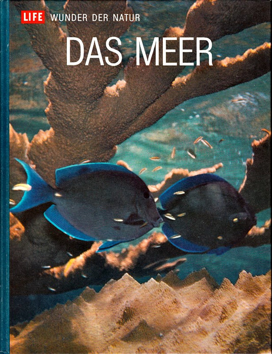 Life - Wunder der Natur: Das Meer