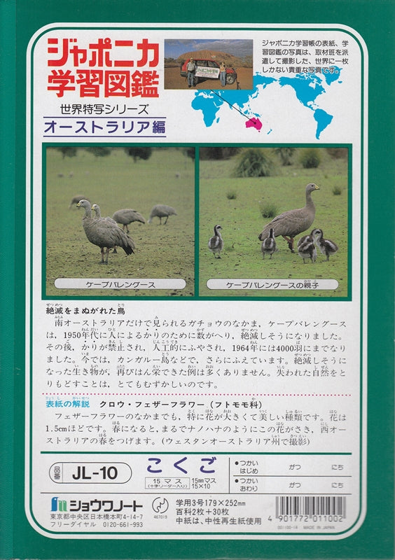 Japanisch Kanjiheft 15 Kästchen JL-10