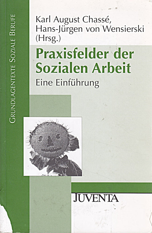 Praxisfelder der Sozialen Arbeit: Eine Einführung (Grundlagentexte Soziale Berufe)