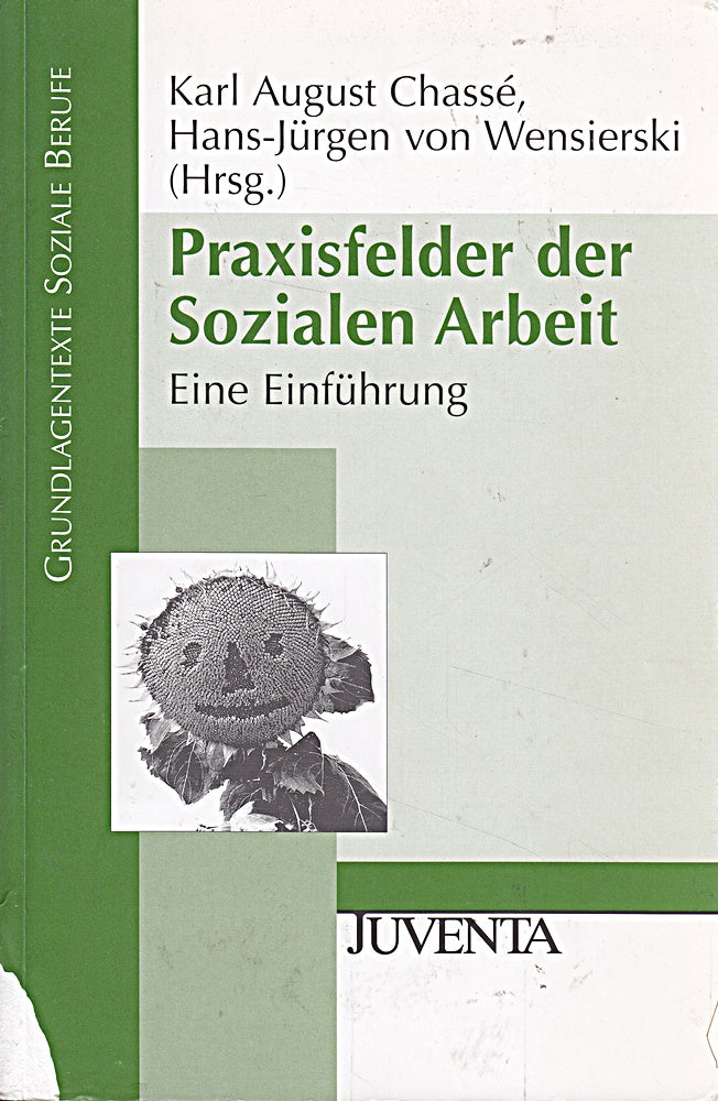 Praxisfelder der Sozialen Arbeit: Eine Einführung (Grundlagentexte Soziale Berufe)