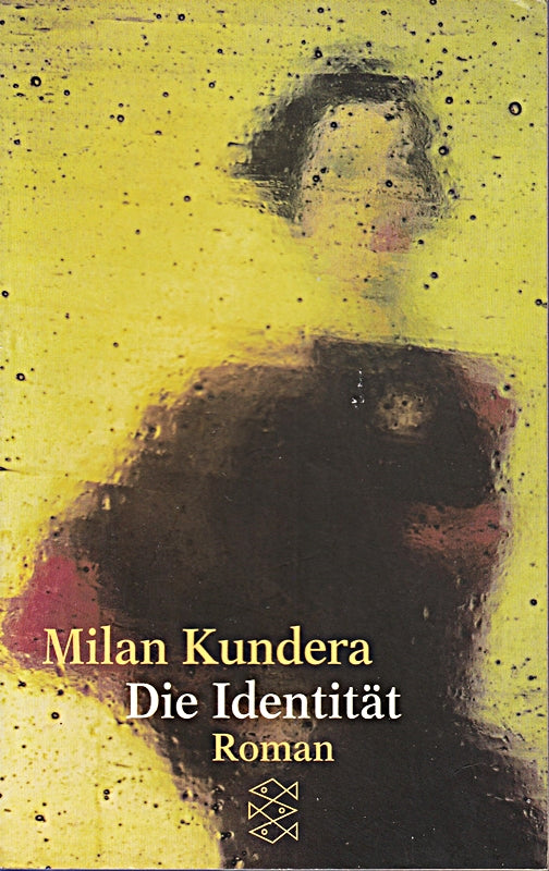 Die Identität. Roman. Aus dem Französischen von Uli Aumüller.