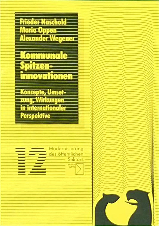 Kommunale Spitzeninnovationen. Konzepte  Umsetzung  Wirkungen in interkultureller Perspektive