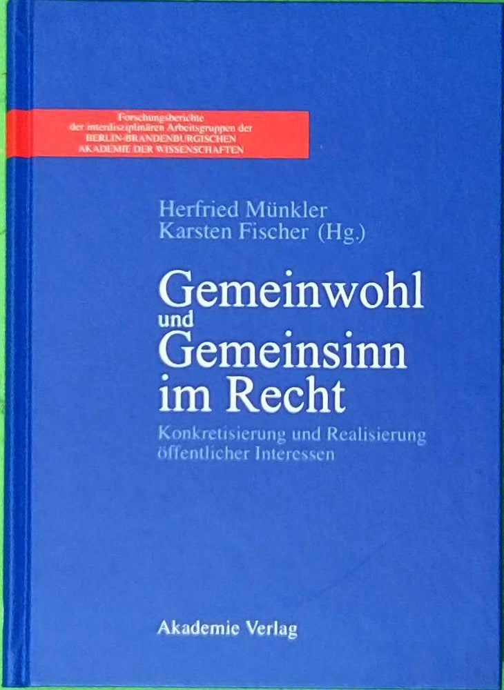 Gemeinwohl und Gemeinsinn im Recht: Konkretisierung und Realisierung öffentlicher Interessen (Forschungsberichte der interdisziplinären Arbeitsgruppe ... Akademie der Wissenschaften  Band 3)