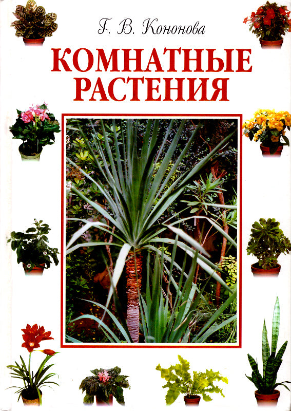 Komnatnye rasteniya/Kristall