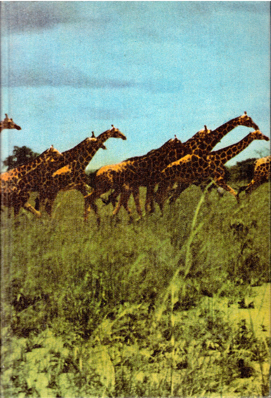 Der riesengroße Zoo
