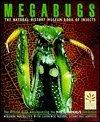 Megabugs: Natural History Museum Book of Insects