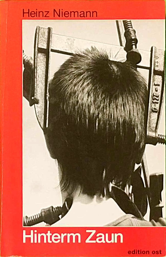 Hinterm Zaun: Die politische und Alltagskultur in der DDR im Spiegel der Meinungsforschung (Rote Reihe)
