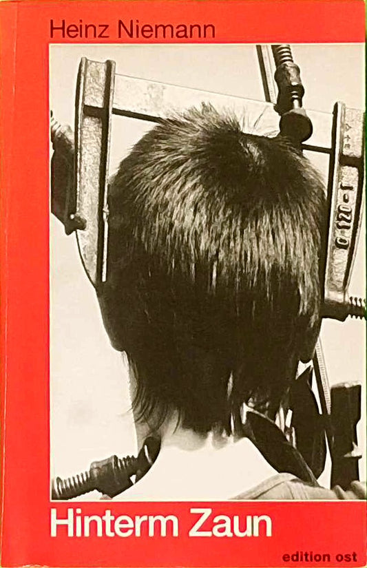 Hinterm Zaun: Die politische und Alltagskultur in der DDR im Spiegel der Meinungsforschung (Rote Reihe)
