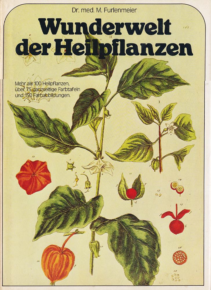 Wunderwelt der Heilpflanzen.