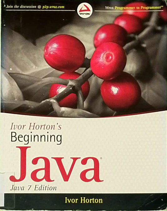 Ivor Horton's Beginning: Java 7 Edition
