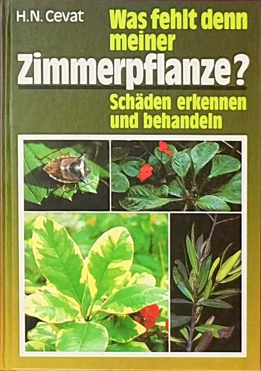 Was fehlt denn meiner Zimmerpflanze