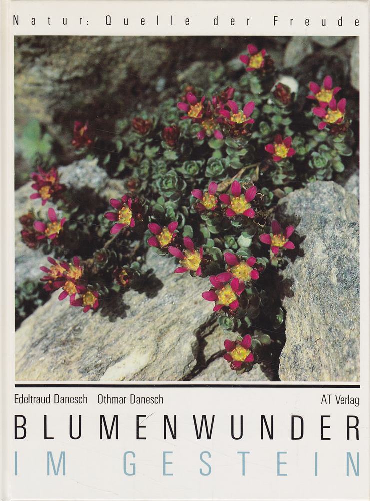 Blumenwunder im Gestein