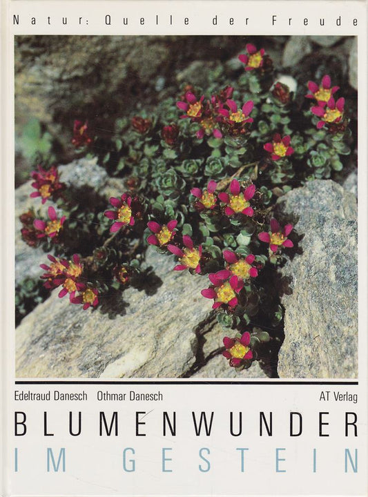 Blumenwunder im Gestein