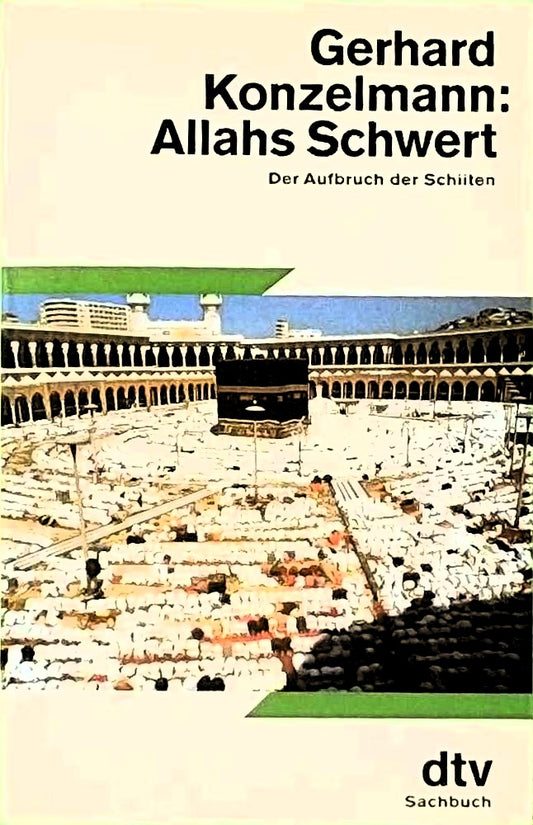 Allahs Schwert: Der Aufbruch der Schiiten (dtv Sachbuch)