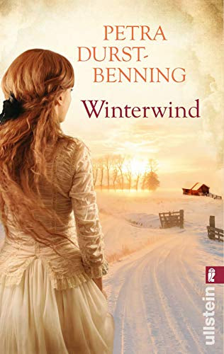 Winterwind: Weihnachtsgeschichten zum Träumen