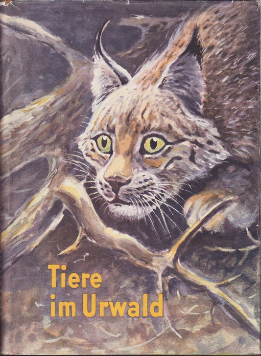 Tiere im Urwald. Erlebnisse im Naturschutzgebiet von Belowesh.