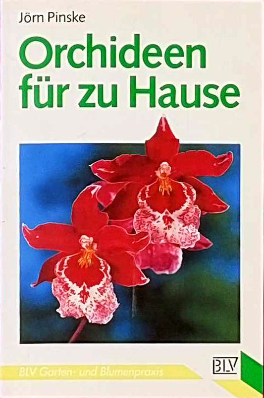 Orchideen für zu Hause.