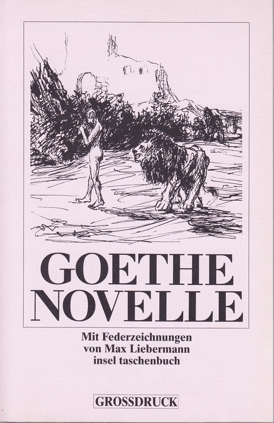Novelle: Mit Federzeichnungen von Max Liebermann und einem Nachwort von Paul Stöcklein (insel taschenbuch)