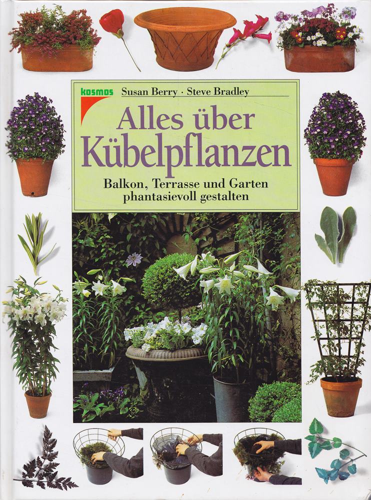Alles über Kübelpflanzen