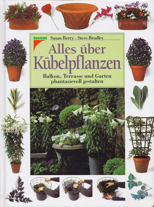 Alles über Kübelpflanzen
