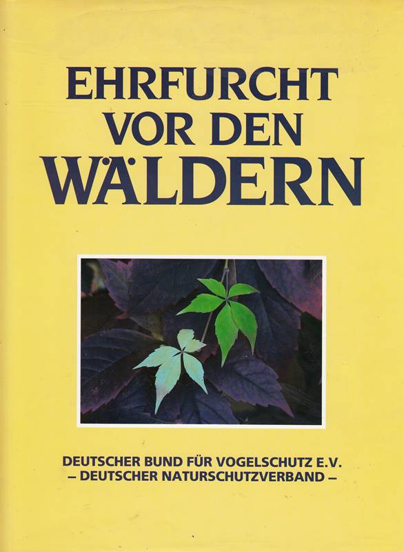 Ehrfurcht vor den Wäldern