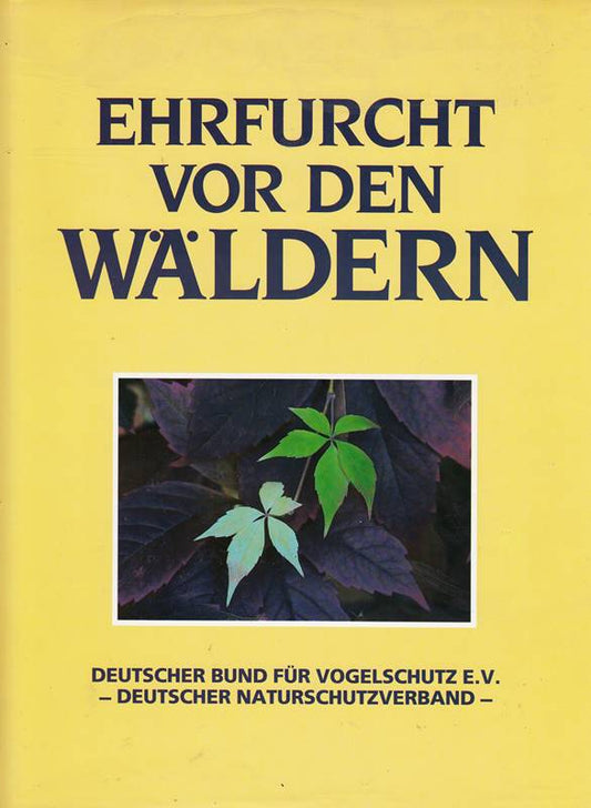 Ehrfurcht vor den Wäldern