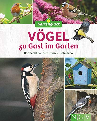 Vögel zu Gast im Garten: Beobachten  bestimmen  schützen