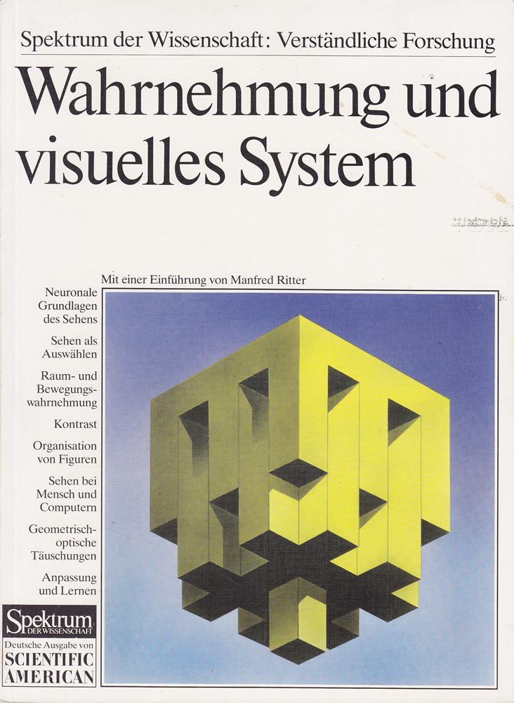 Wahrnehmung und visuelles System