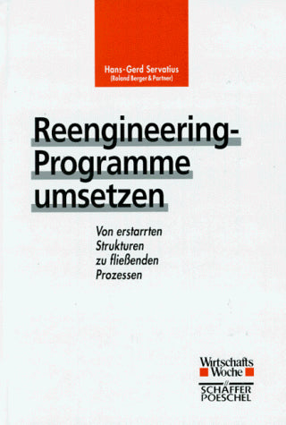 Reengineering-Programme umsetzen