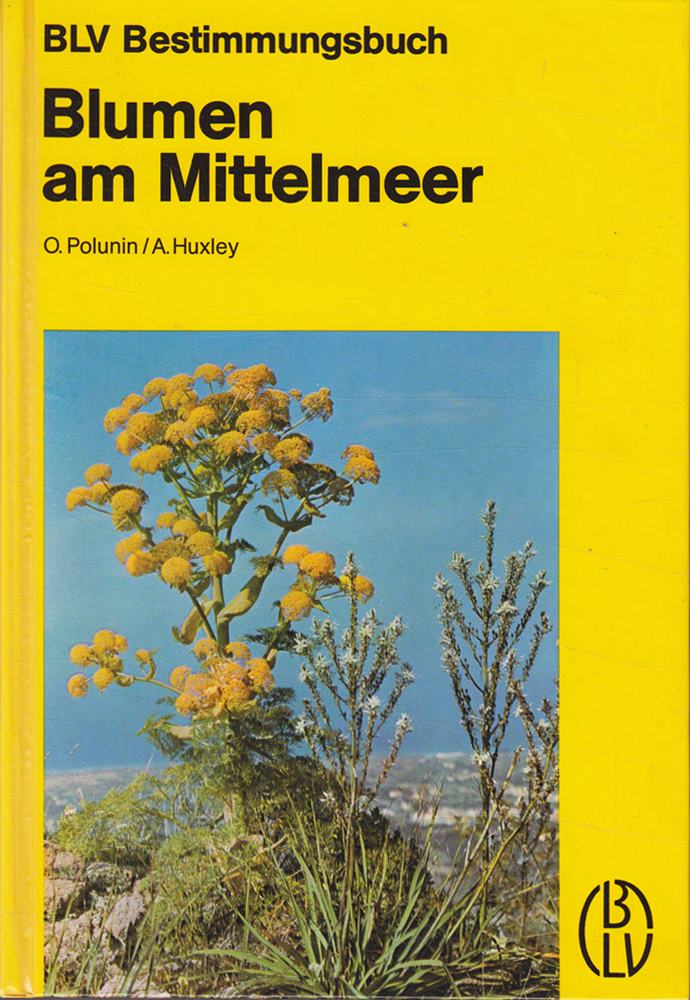 Blumen am Mittelmeer