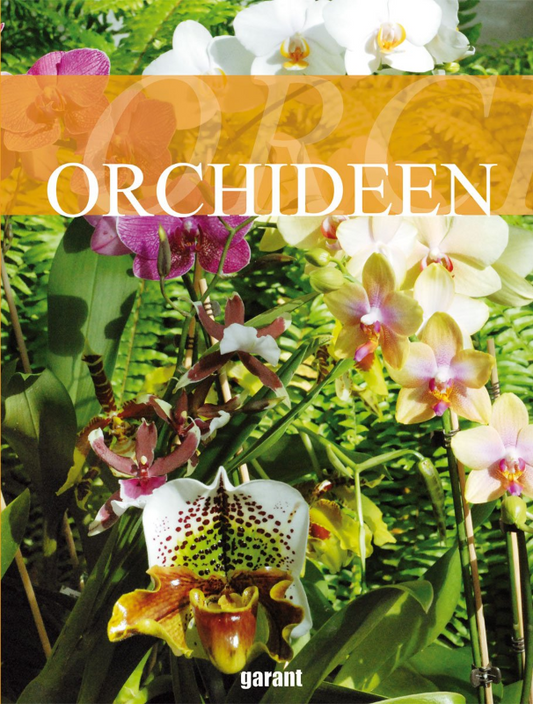 Orchideen