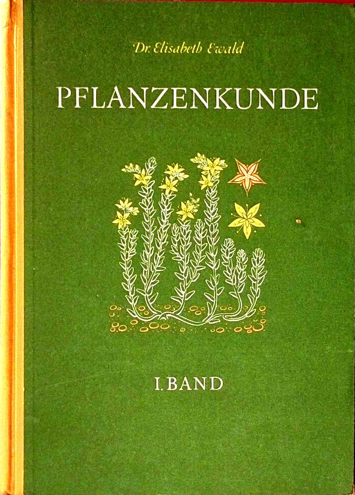 Pflanzenkunde Band 1