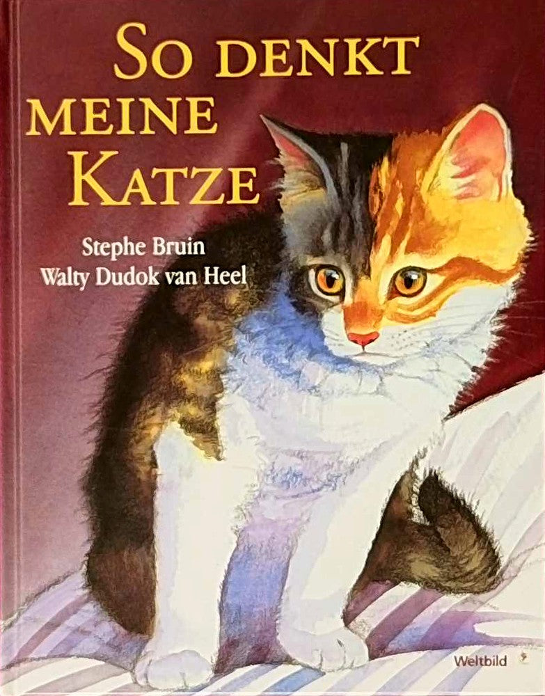 So denkt meine Katze