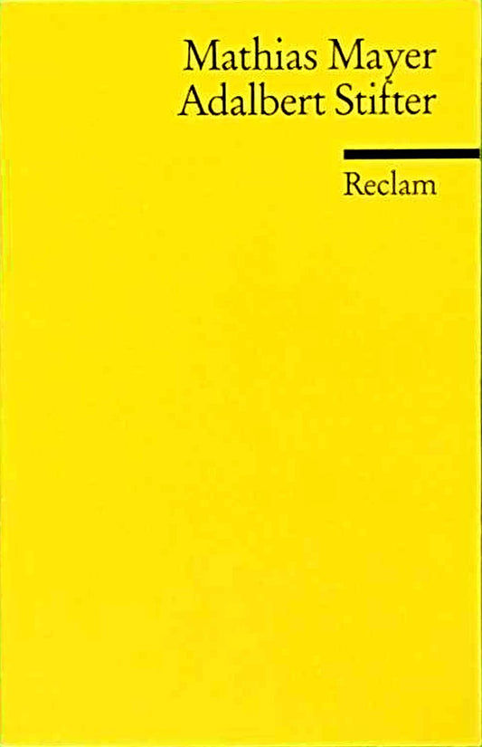 Adalbert Stifter. Erzählen als Erkennen (Reclams Universal-Bibliothek)