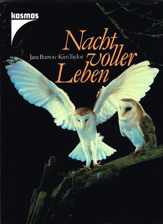 Nacht voller Leben