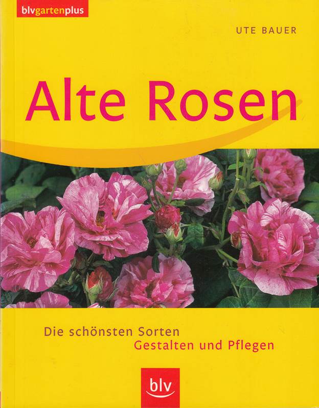 Alte Rosen: Die schönsten Sorten · Gestalten und Pflegen