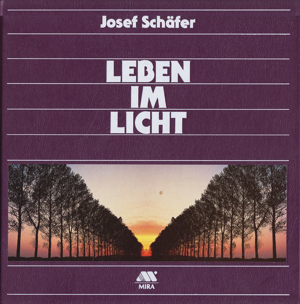 Leben im Licht